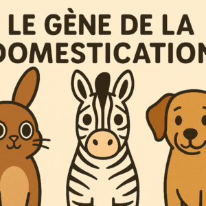 Gène de la domestication