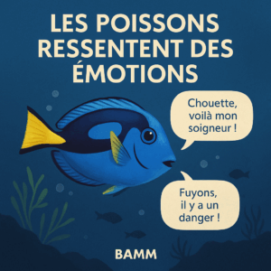 Les poissons ont des émotions