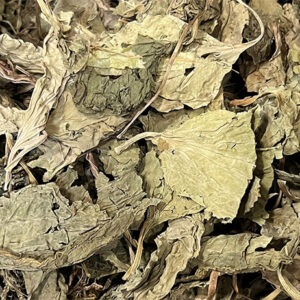 Grand plantain major pour lapins et rongeur BAMM Paris