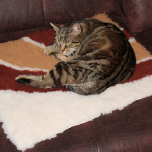 Tapis isolant arc en ciel rouge