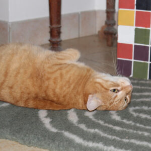 Tapis isolant Arches