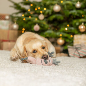 Renne avec corde en peluche trixie pour chiens 2